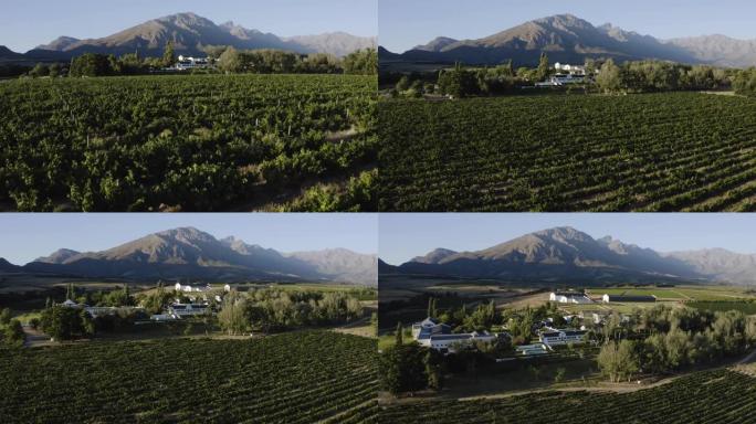 南非西开普省一个葡萄酒庄园的葡萄园、酿酒厂和家园的4k美丽风景鸟瞰图