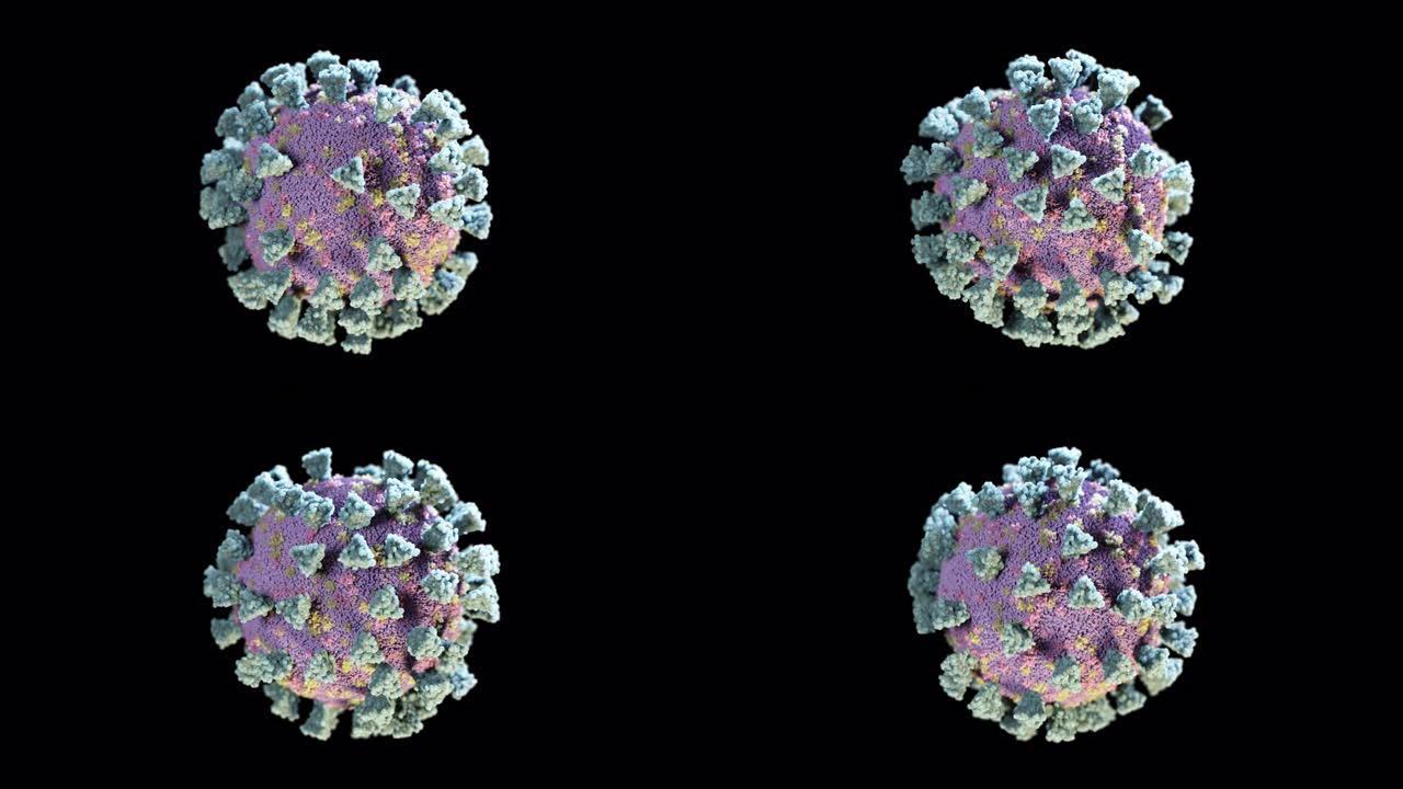 冠状病毒细胞在黑色孤立背景上的旋转。用于研究的逼真的3d渲染。病毒运动背景-流行病新型冠状病毒肺炎。