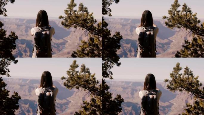 后视图快乐的年轻女子拍摄亚利桑那州大峡谷山风景令人难以置信的夏季全景。