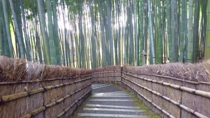 走道竹隧道命名为京都的岚山竹林，日本旅游地标