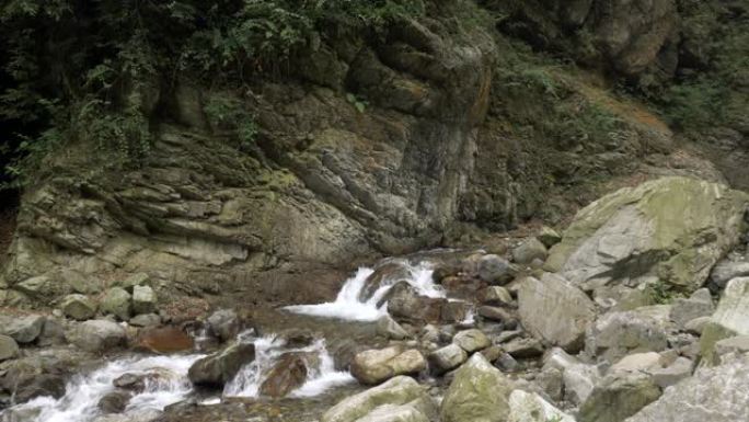 山里的溪流林业绿化树林植被生态水源