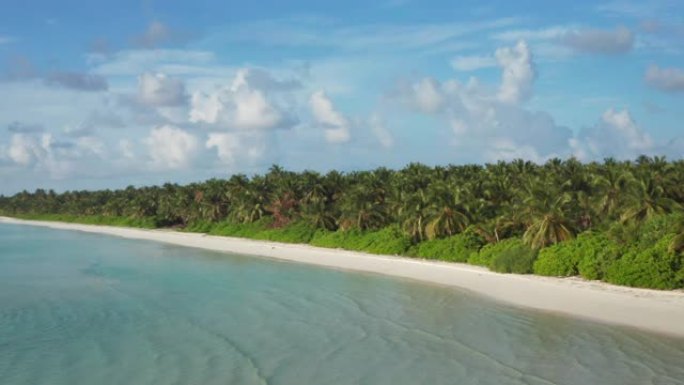 拥有白色沙滩，清澈海水和棕榈树的荒岛风景的鸟瞰图