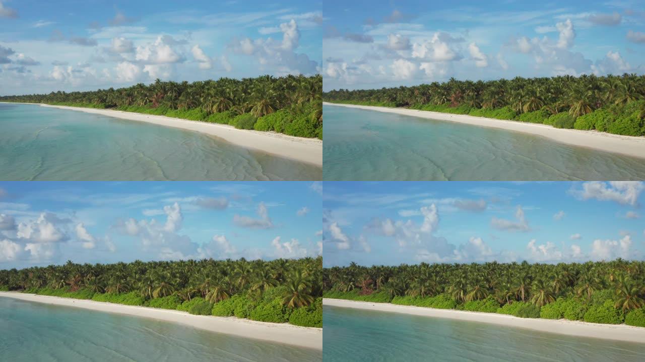 拥有白色沙滩，清澈海水和棕榈树的荒岛风景的鸟瞰图