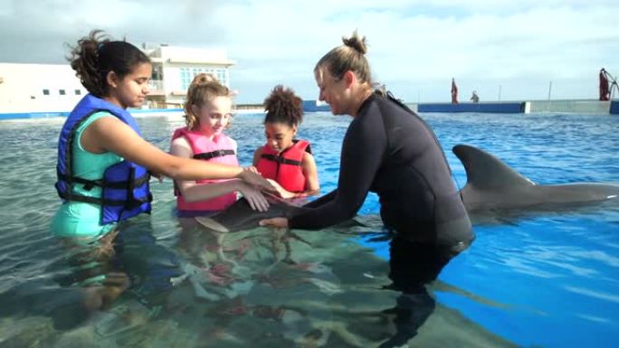 水中抚摸海豚的女孩和教练