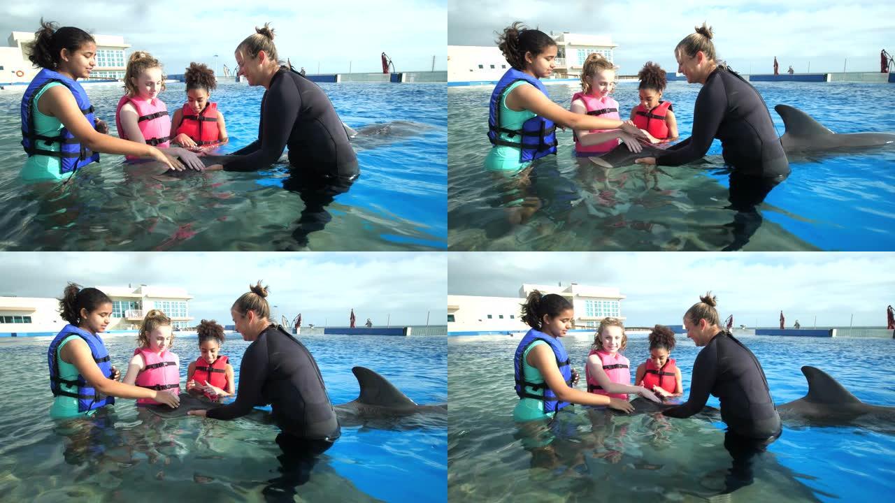 水中抚摸海豚的女孩和教练