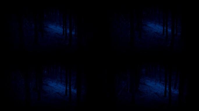 可怕的步行POV到森林开放在晚上