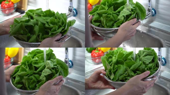 洗涤绿色沙拉