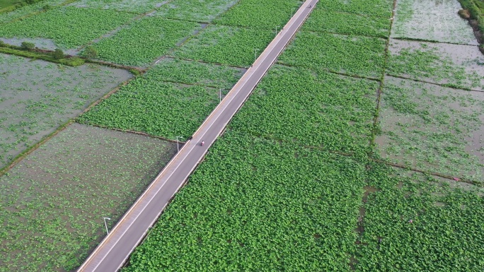 泉州石狮湿地公园航拍