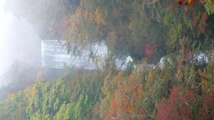 秋日秋日瀑布，森林变色，慢动作