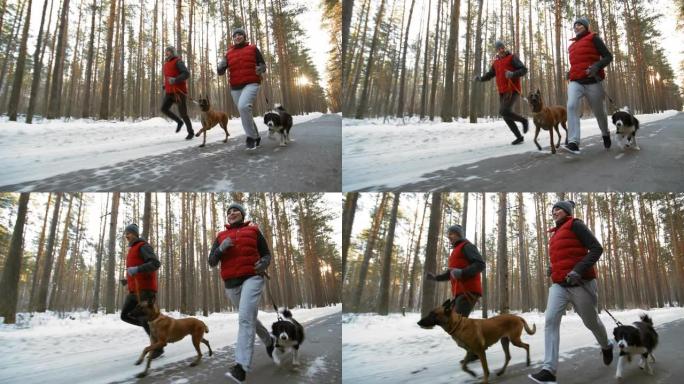 活泼的夫妇和狗在森林里跑步