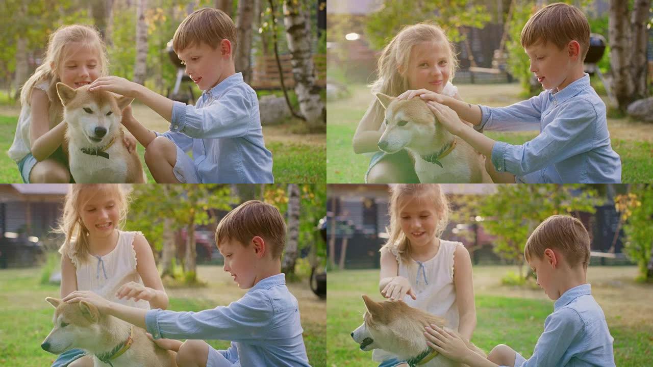 小男孩和女孩玩可爱的石步狗，孩子们在后院爱狗。阳光明媚的夏日。