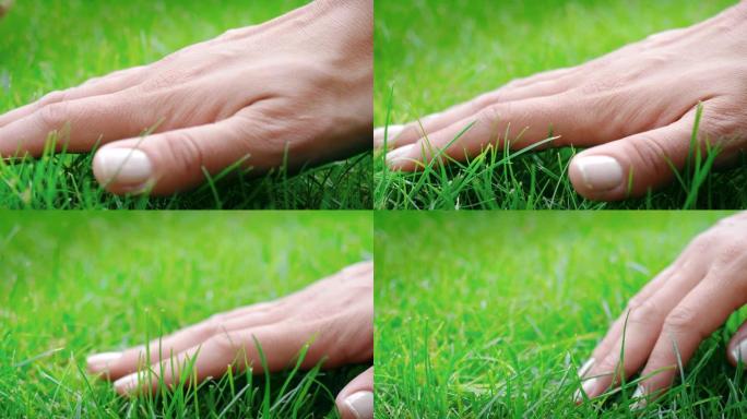 女性手轻轻触摸新鲜的绿草的宏观特写。