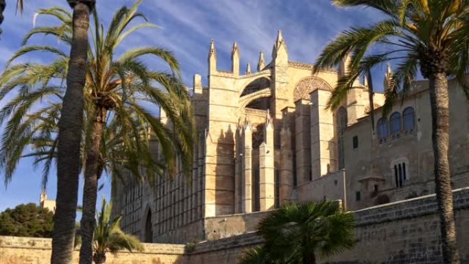 在帕尔马大教堂 (Palma Cathedral) 的棕榈树中行走，该大教堂是帕尔马的圣玛丽亚大教堂