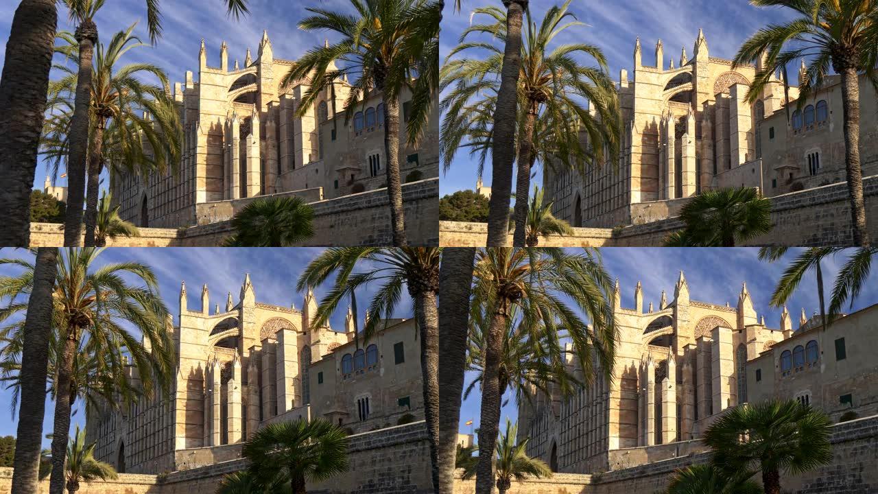 在帕尔马大教堂 (Palma Cathedral) 的棕榈树中行走，该大教堂是帕尔马的圣玛丽亚大教堂