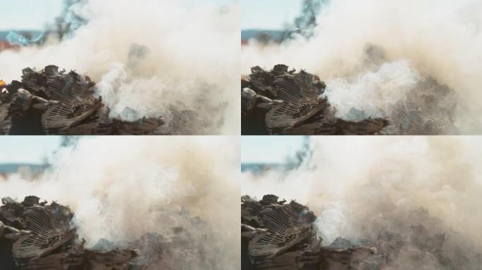 宏观: 从一堆燃烧的纸板中冒出烟云的详细镜头。