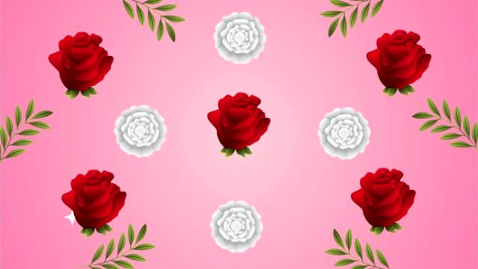 美丽玫瑰花卉花园图案动画