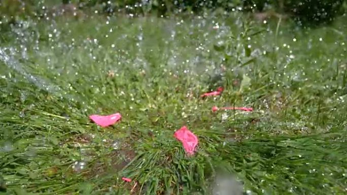 慢动作: 粉红色的气球撞到草地后充满水。