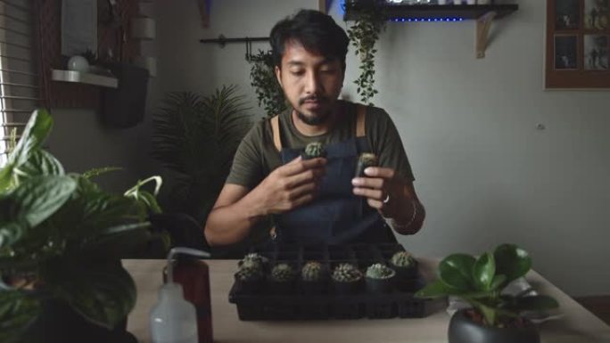 在家中的爱好: 花店男子播种植物并照顾他的室内植物