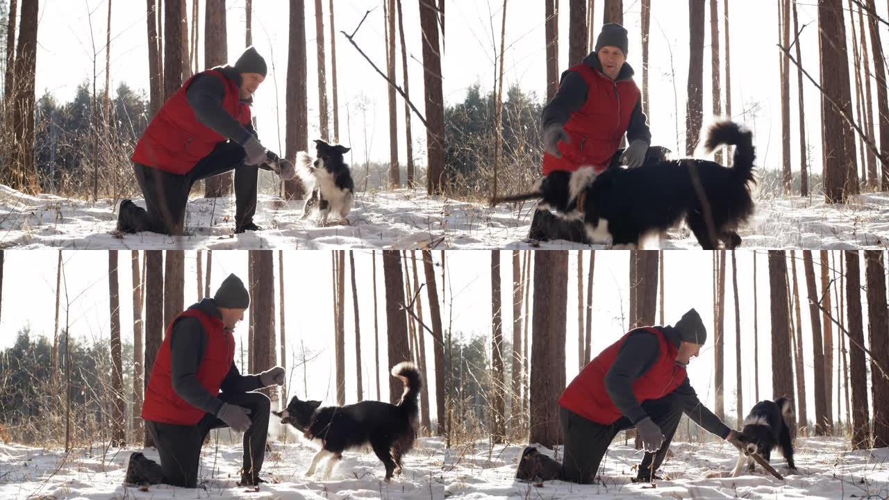 男子在冬季树林中与狗玩耍