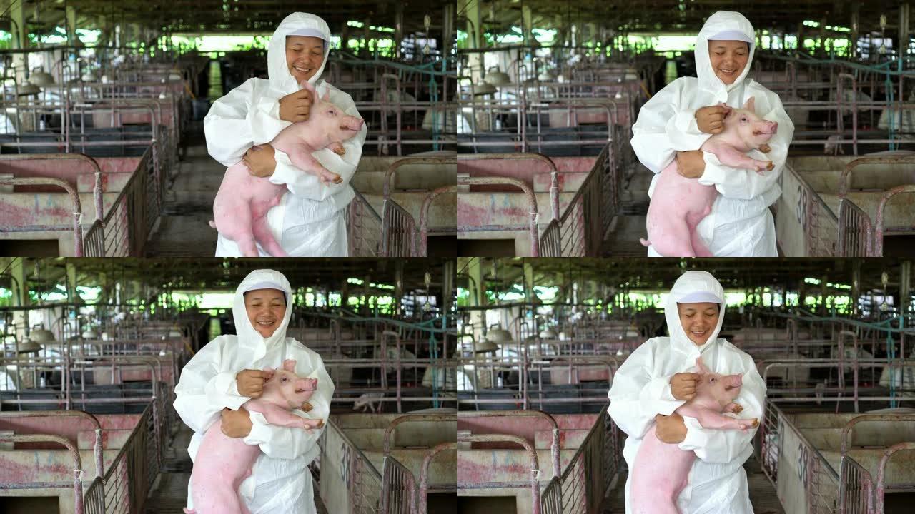 亚洲兽医的4k镜头在工厂养猪场，牲畜和家畜概念中照顾并拍拍猪的头