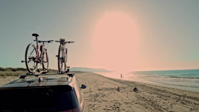 WS男子和狗在意大利普利亚SUV后面的阳光明媚的沙滩冲浪中玩耍
