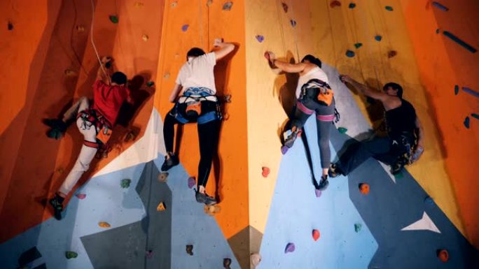 四个人沿着健身房墙壁攀爬过程