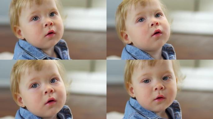 蓝眼睛的男婴凝视着相机