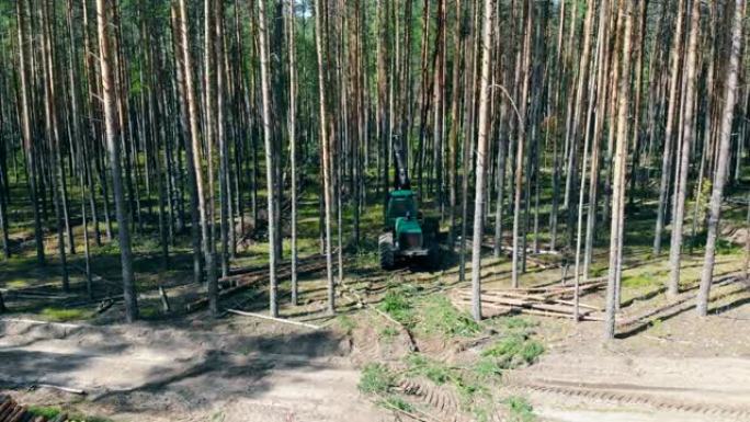 机械收割机正在俯视图中砍伐树木
