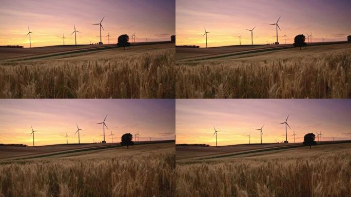 DS美丽的拍摄了一片麦田，风力涡轮机在远处旋转