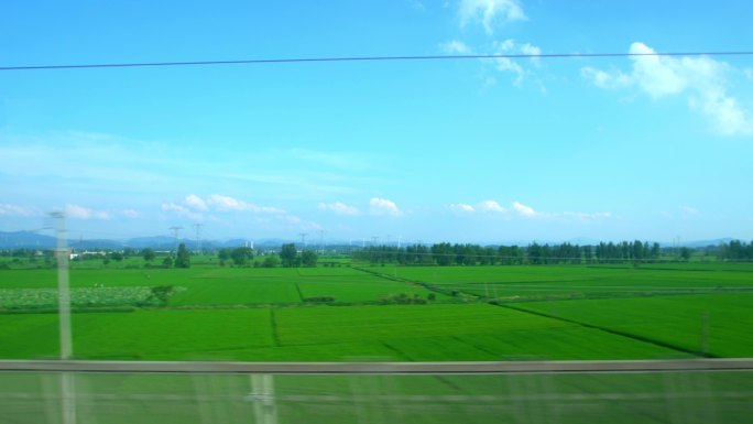 高铁行驶窗外绿色田野风景