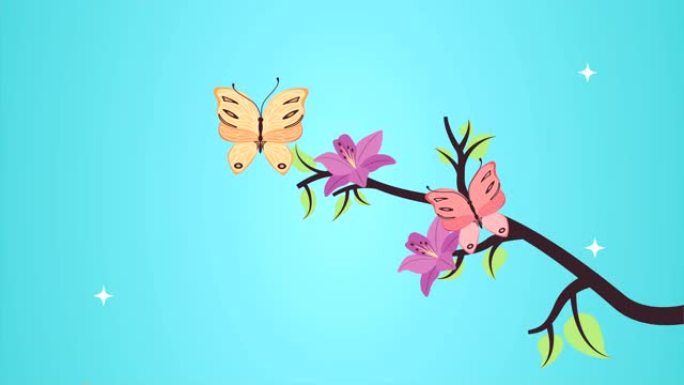 美丽的花卉花园和蝴蝶飞行动画