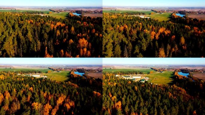 在晴朗的晴天，无人驾驶飞机在秋天的日出场，湖泊和黄色的森林树木上飞行，露出了大农场。