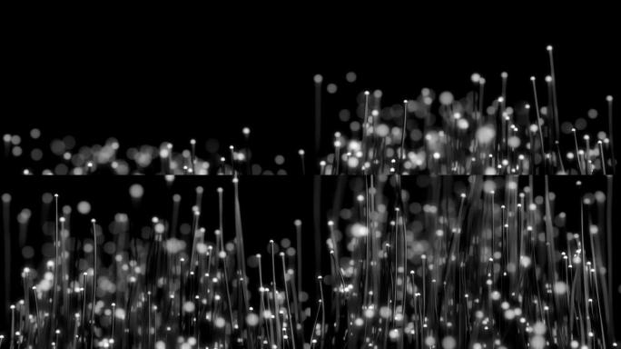 抽象光纤。唯美梦幻粒子三维动画通道素材