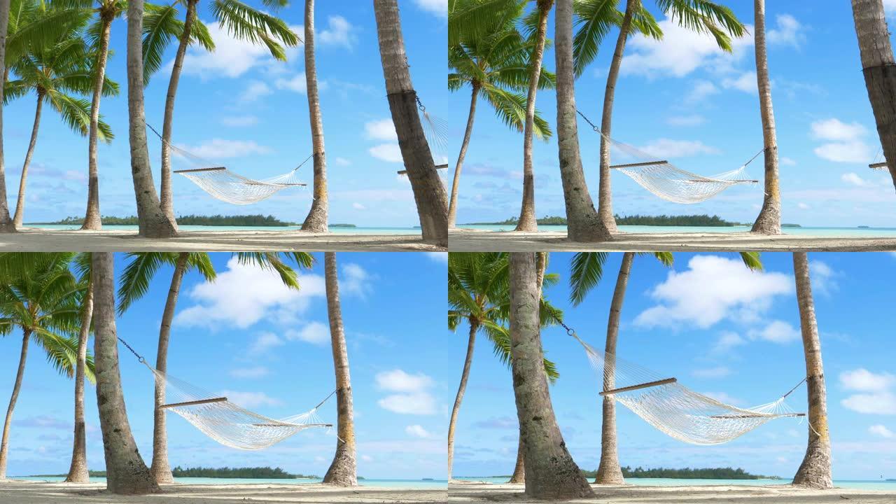 低角度: 绳索吊床在棕榈树吹来的微风中摆动。