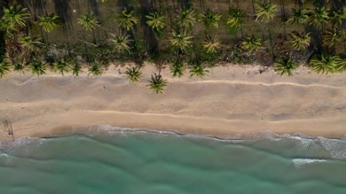 空中无人机在泰国南部那空西塔玛拉特省卡农的美丽海滩和椰子树上飞行
