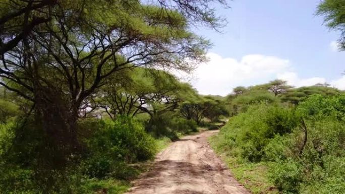 被绿色植被和自然包围的非洲碎石路的鸟瞰图。