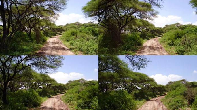 被绿色植被和自然包围的非洲碎石路的鸟瞰图。