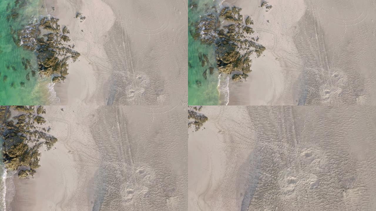 空中海龟在海滩上的巢穴