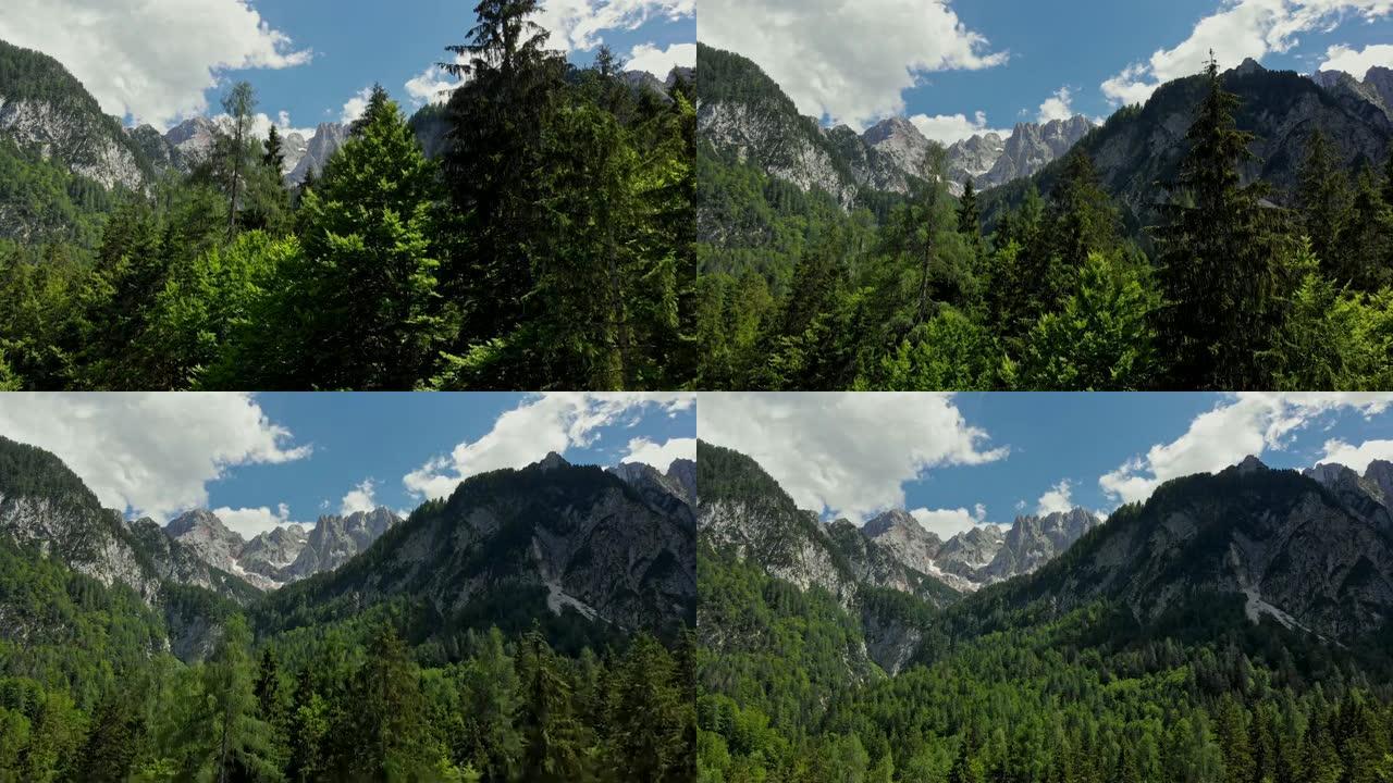 斯洛文尼亚朱利安阿尔卑斯山的特里格拉夫国家公园的树木和山脉鸟瞰图。4K, UHD