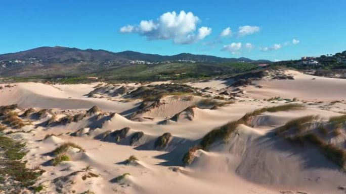 移动的空中无人机镜头: 沙丘，长草和山的沙滩。葡萄牙美丽的令人叹为观止的大自然。远处可见的城市