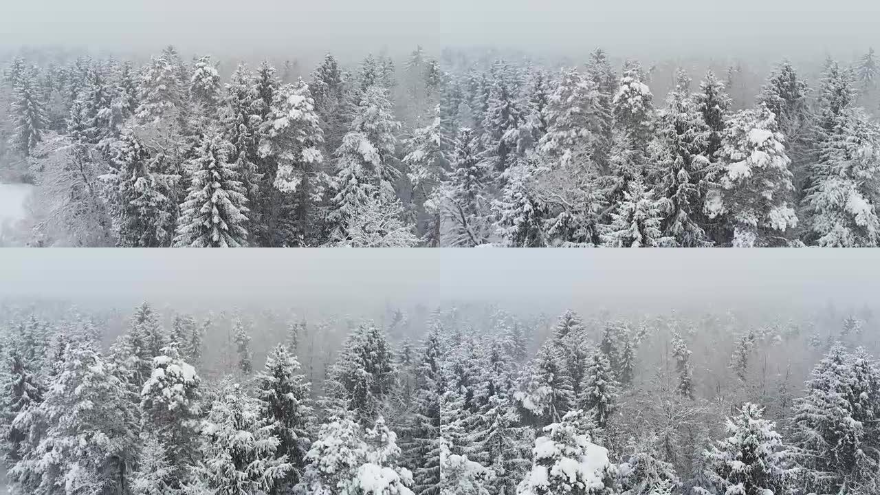 空中: 飞越白雪覆盖的森林，而山间一片白茫茫。