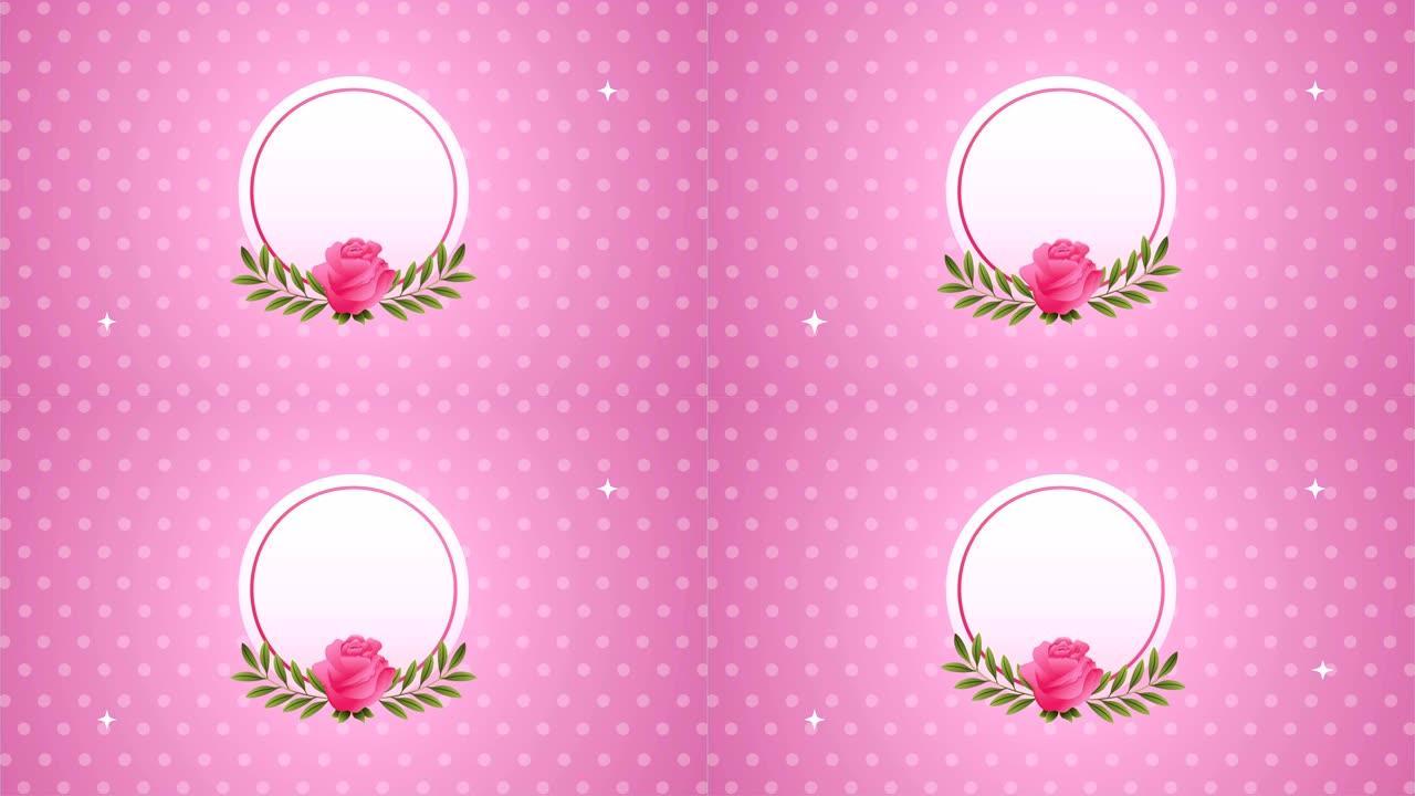 美丽的粉色玫瑰花圆形框架动画