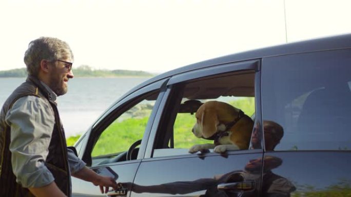 男人抚摸可爱的狗，坐在车里兜风