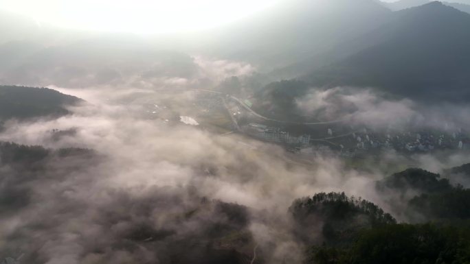 美丽乡村油菜花与晨雾