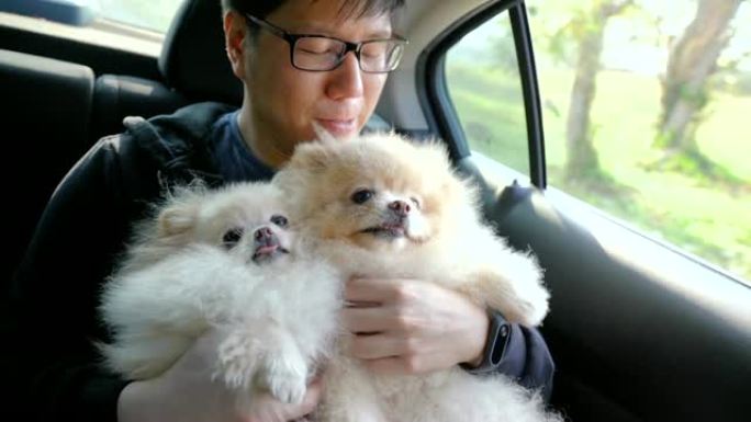 亚洲男子在汽车后座上与狗玩耍