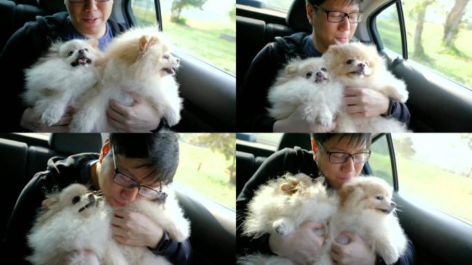 亚洲男子在汽车后座上与狗玩耍
