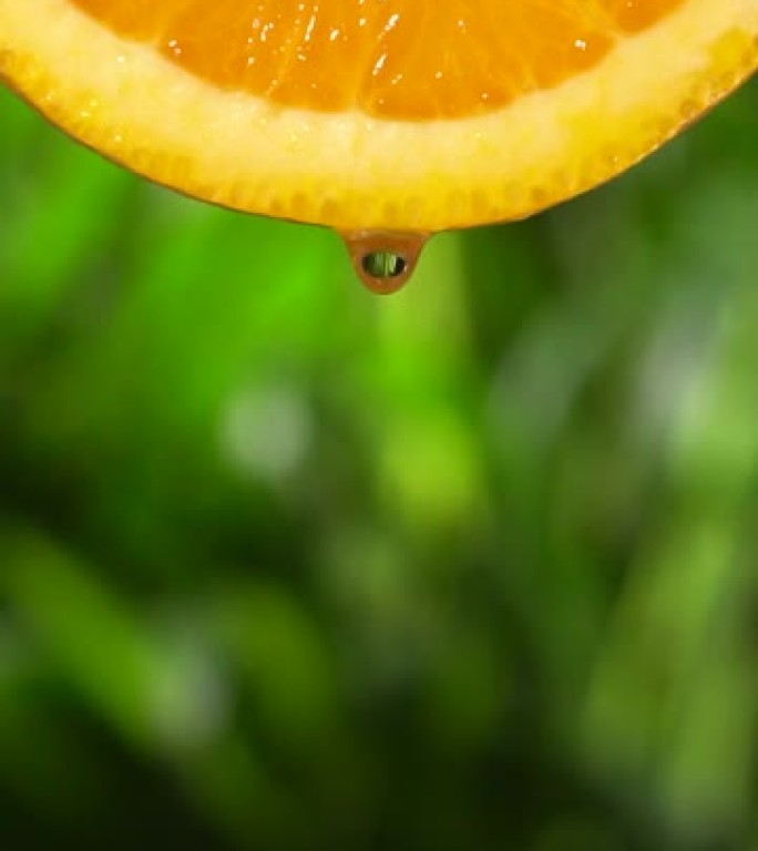 垂直和慢动作: 从橘子片上滴一滴水在茂密的叶子上