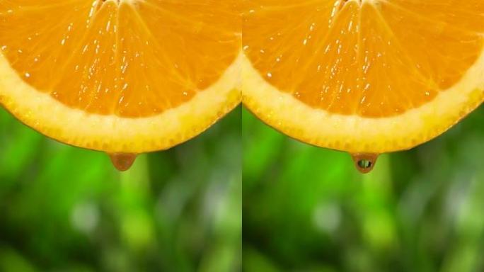 垂直和慢动作: 从橘子片上滴一滴水在茂密的叶子上