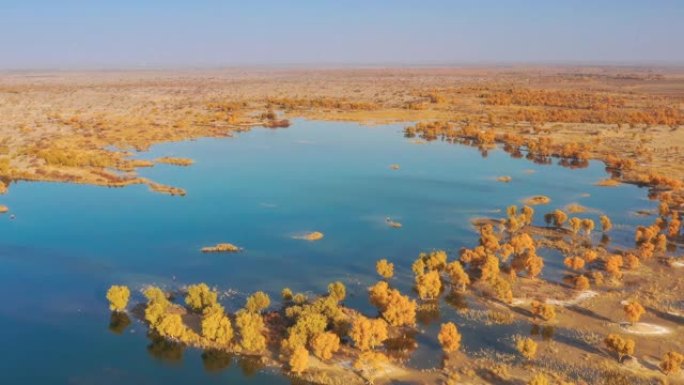 新疆鸟瞰图黄色航拍优美美景视频素材