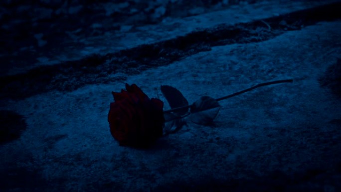 红色玫瑰在黑暗中被放在坟墓上